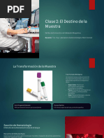Protocolo de Rechazo de Muestras Clínicas | PDF | Sangre ...