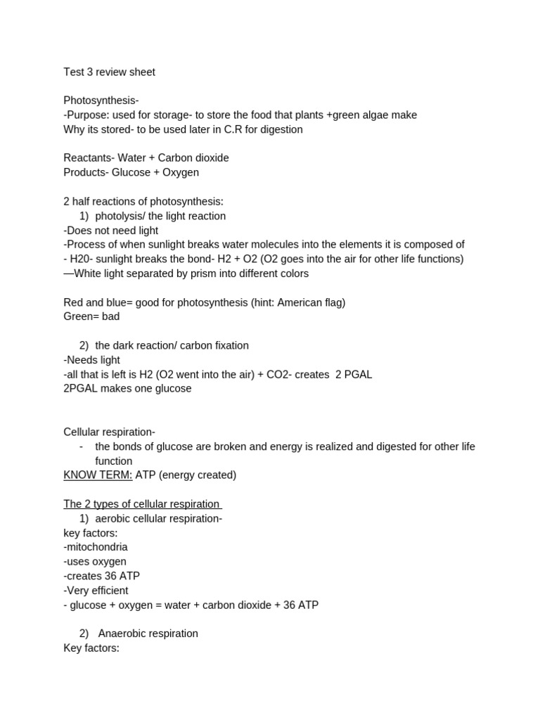 Review Sheet | PDF | Cellular Respiration | Evolution