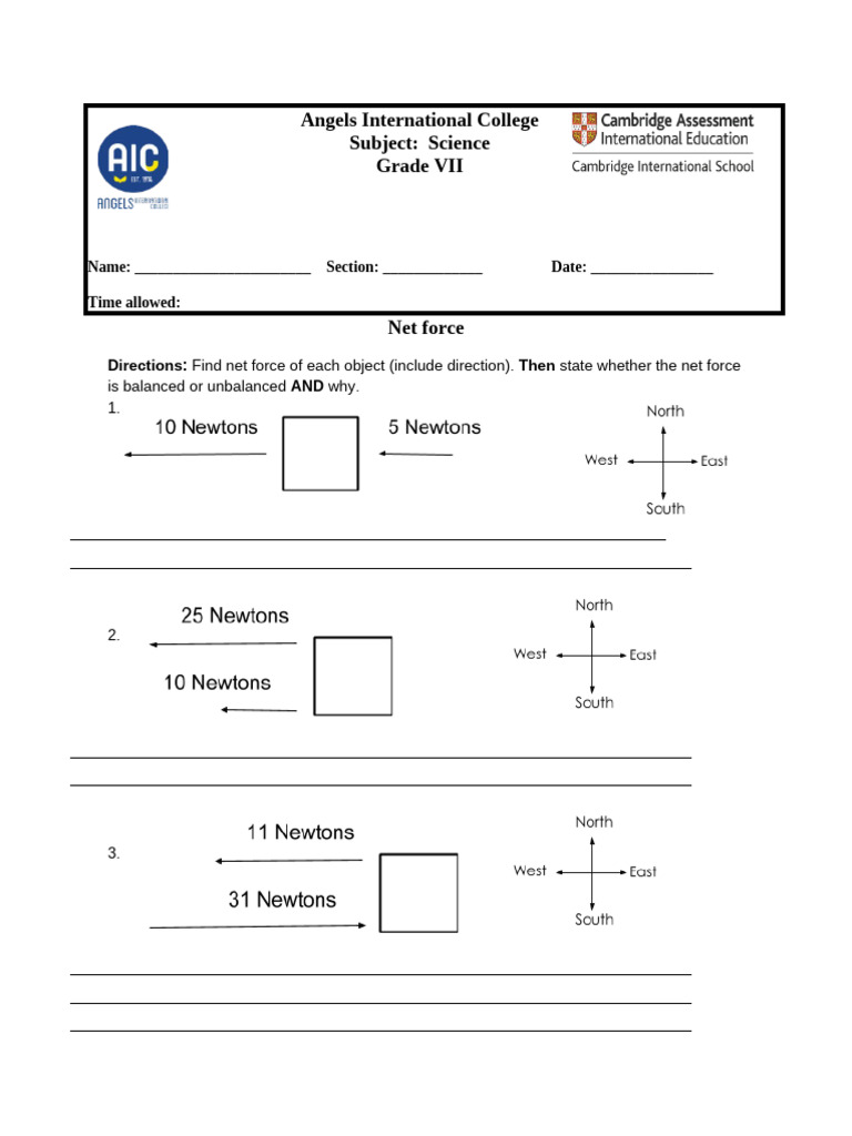 Net Force Work Sheet | PDF