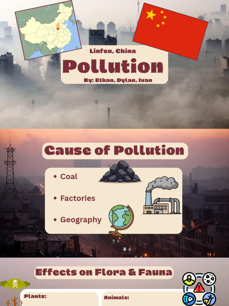 Pollution Educational Presentation (1) | PDF