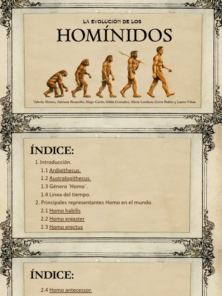 La Evolución de Los | PDF | Homo | Evolución humana