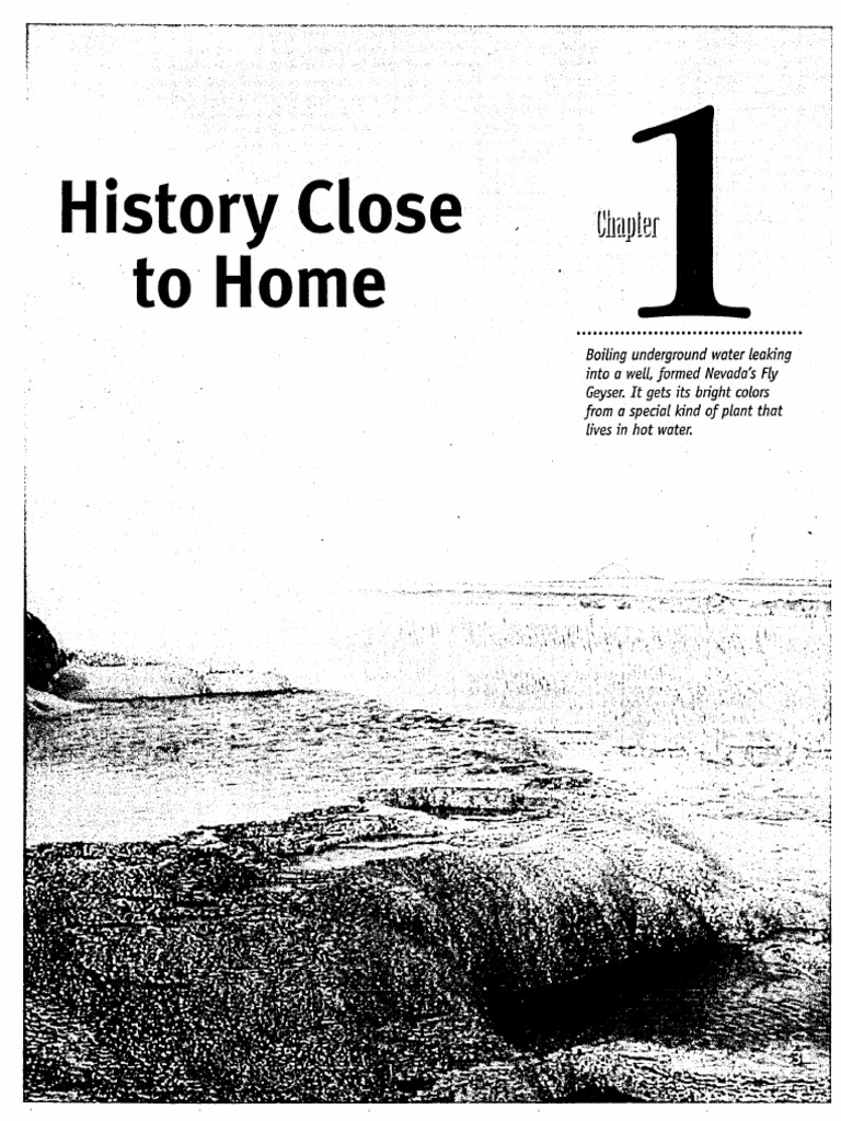 Chapter 1 History Close to Home | PDF | Gemstone | Pine
