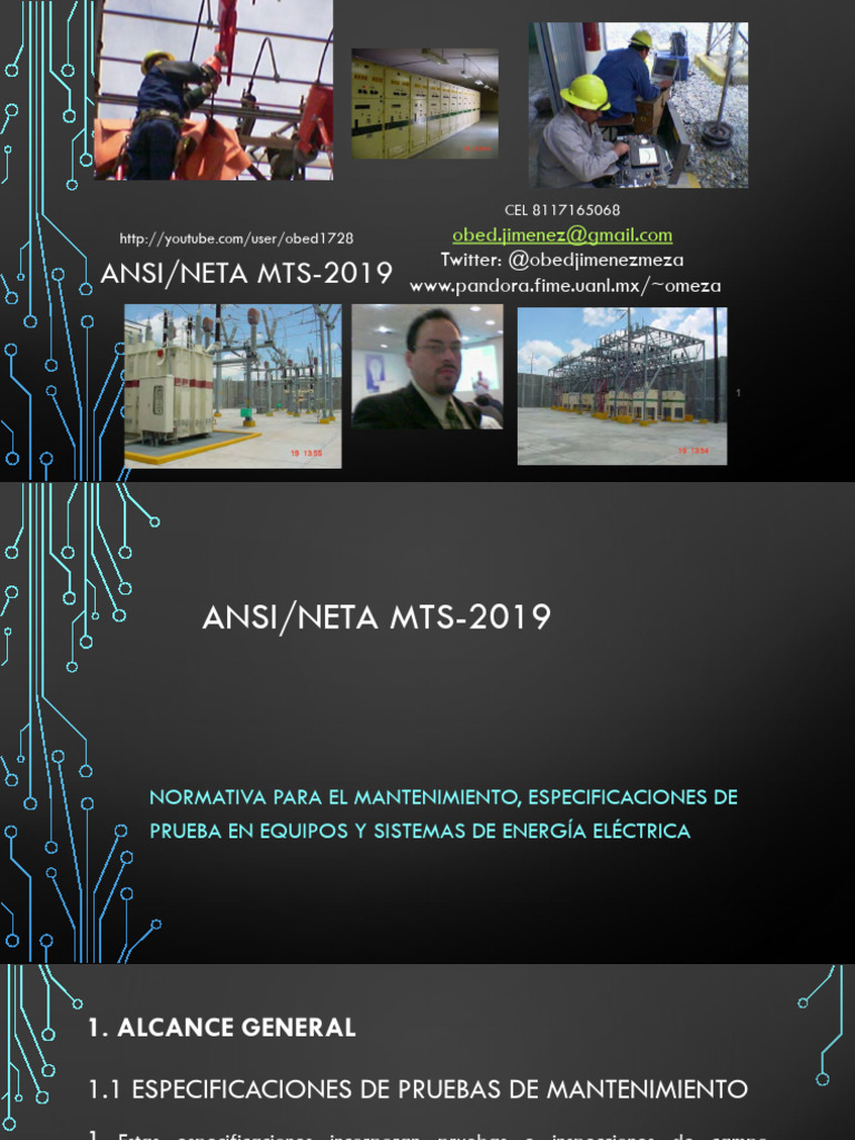 Ansi-Neta MTS-2019 0-283 | PDF | Aislador (Electricidad) | Transformador