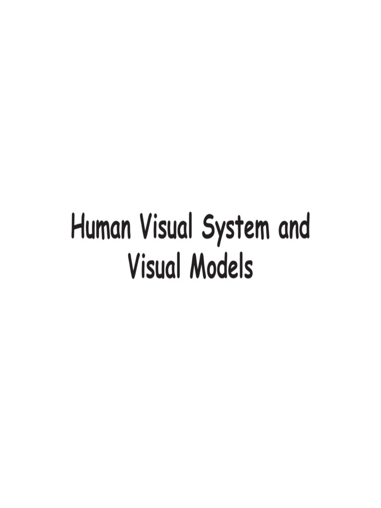 Lecture 3 Human Visual System | PDF | Contrast (Vision) | Eye