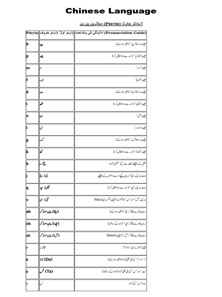 Chinese Language | PDF
