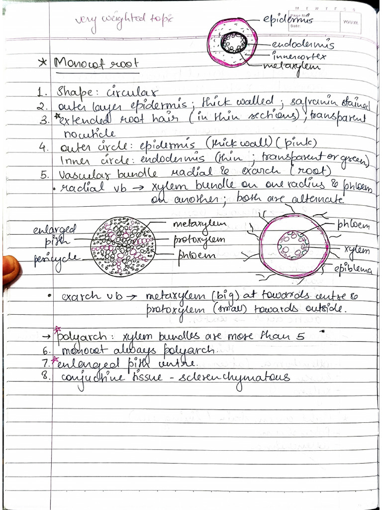SB BOT Notes for Understanding | PDF