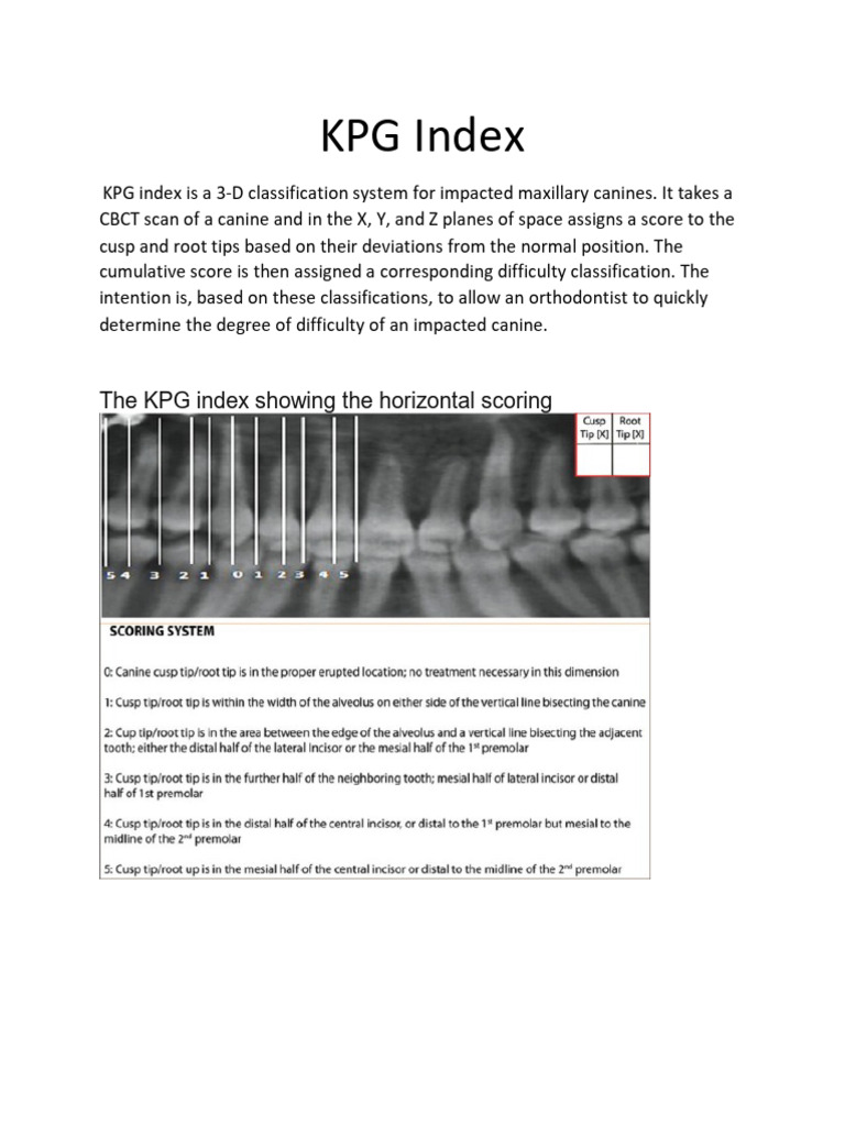 KPG Index | PDF