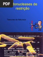 Enzimas de Restrição