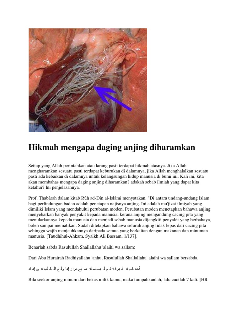 Hikmah Mengapa Daging Anjing Diharamkan Pdf