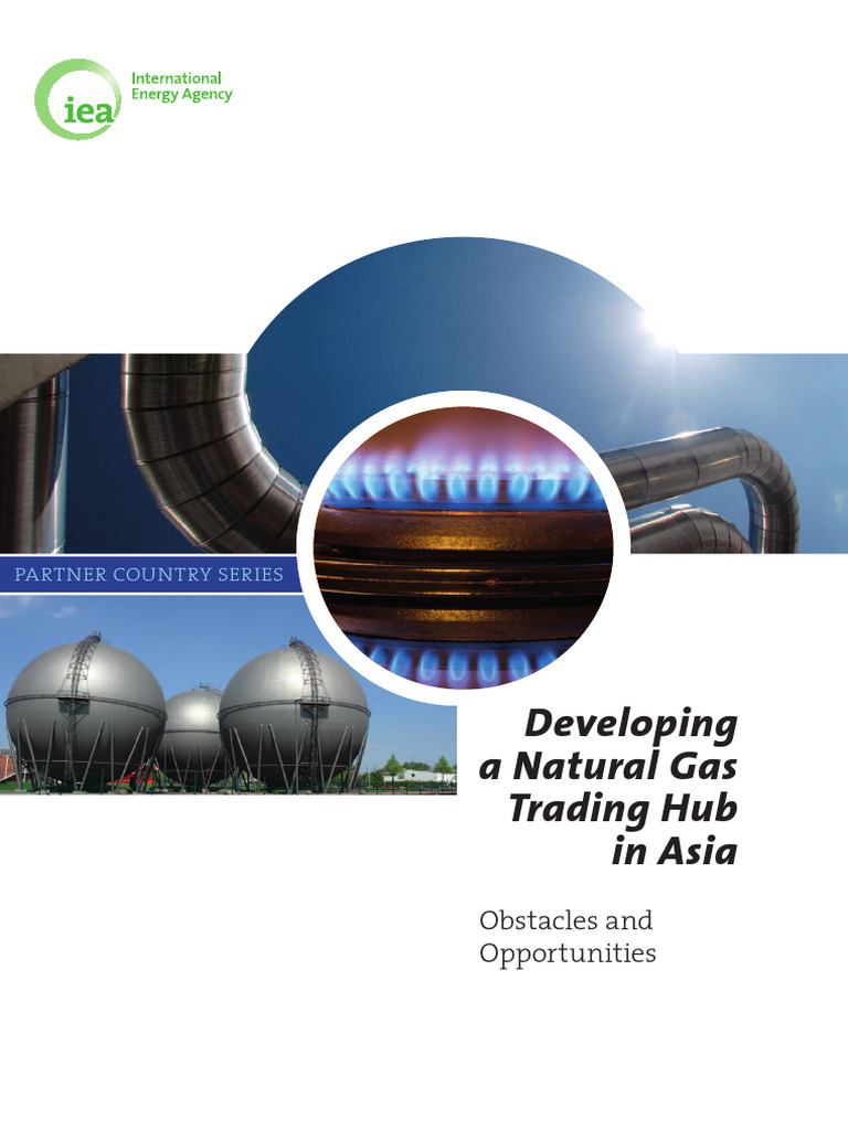 Developing a Natural Gas Trading Hub in Asia | PDF | Liquefied Natural ...