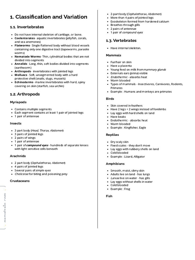 Classification and Variation Notes | PDF | Invertebrate | Skeleton
