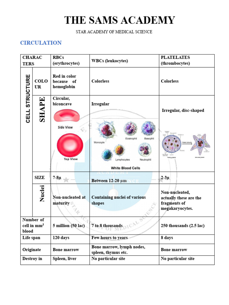 Circulation Sheet by THE SAMS ACADEMY | PDF | Cardiac Muscle | Heart