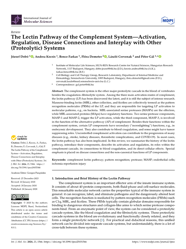 Lectin Pathway | PDF | Complement System | Protease