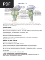 Anatomy and Function of the Pons | PDF | Brainstem | Human Anatomy