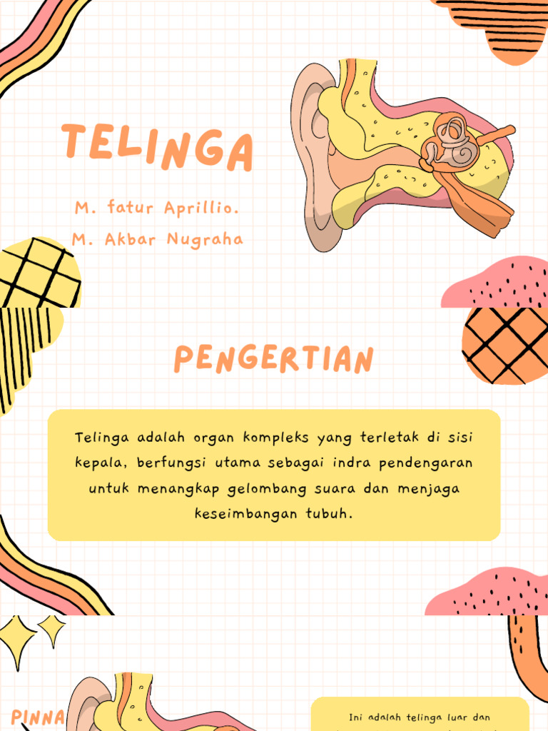 Telinga 20260414 081309 0000 | PDF