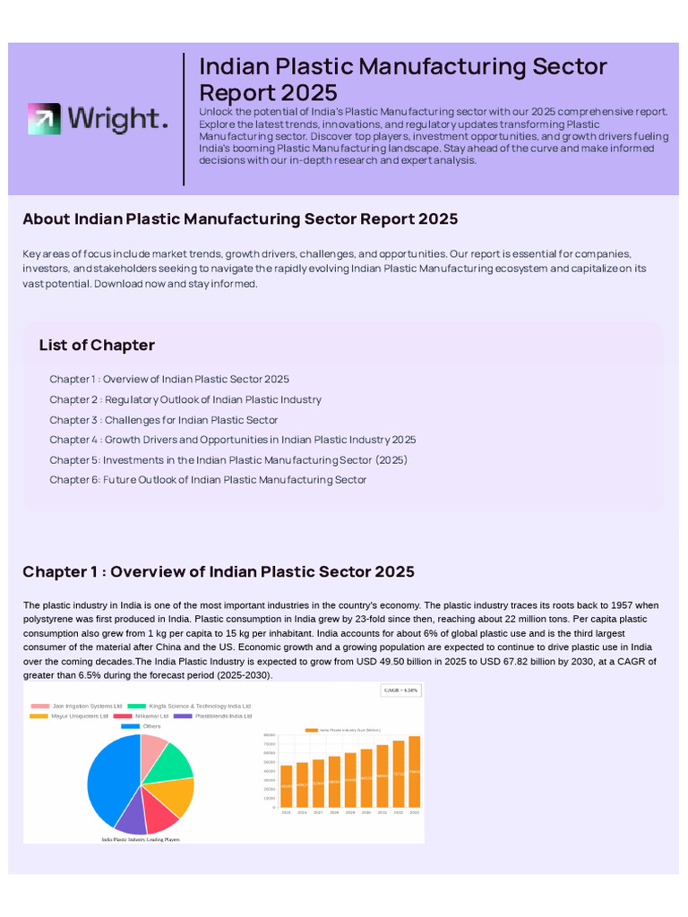 Indian Plastic Manufacturing Sector Report 2025 | PDF | Recycling | Plastic