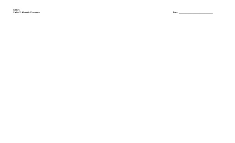 Chapter 4 Quiz | PDF