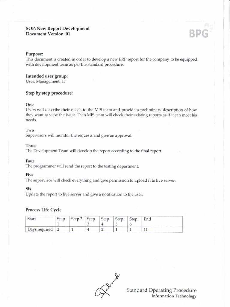 03. New Report Development | PDF