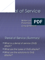 Denial of Service: Written and Presented By: Craig Schweitzer
