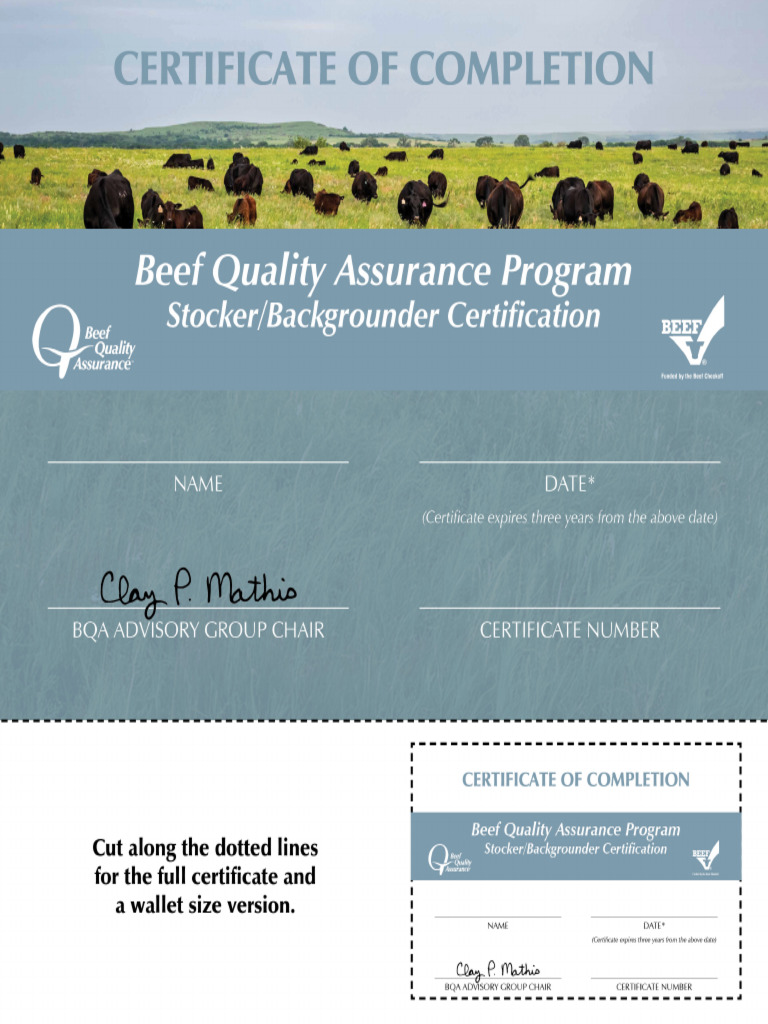 National BQA Certificate StockerBackgrounder | PDF