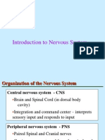Intro to Cns (Rsl)