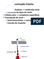 Sinalização Celular