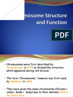 Chromosome Structure and Function