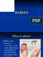 Rabies