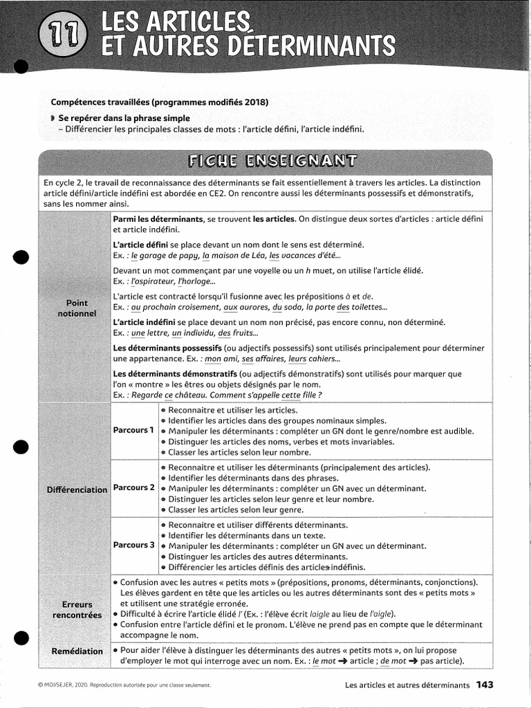 Les Articles Et Autres Déterminants | PDF