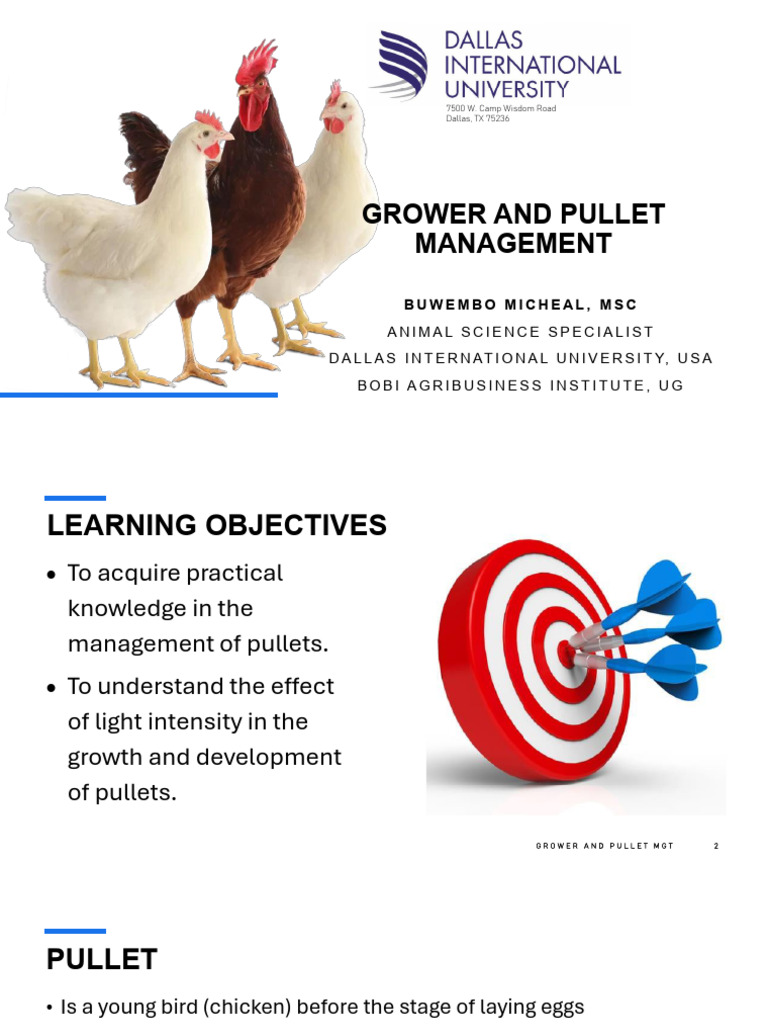 Lesson+9+Grower+and+Pullet+Management | PDF | Chicken