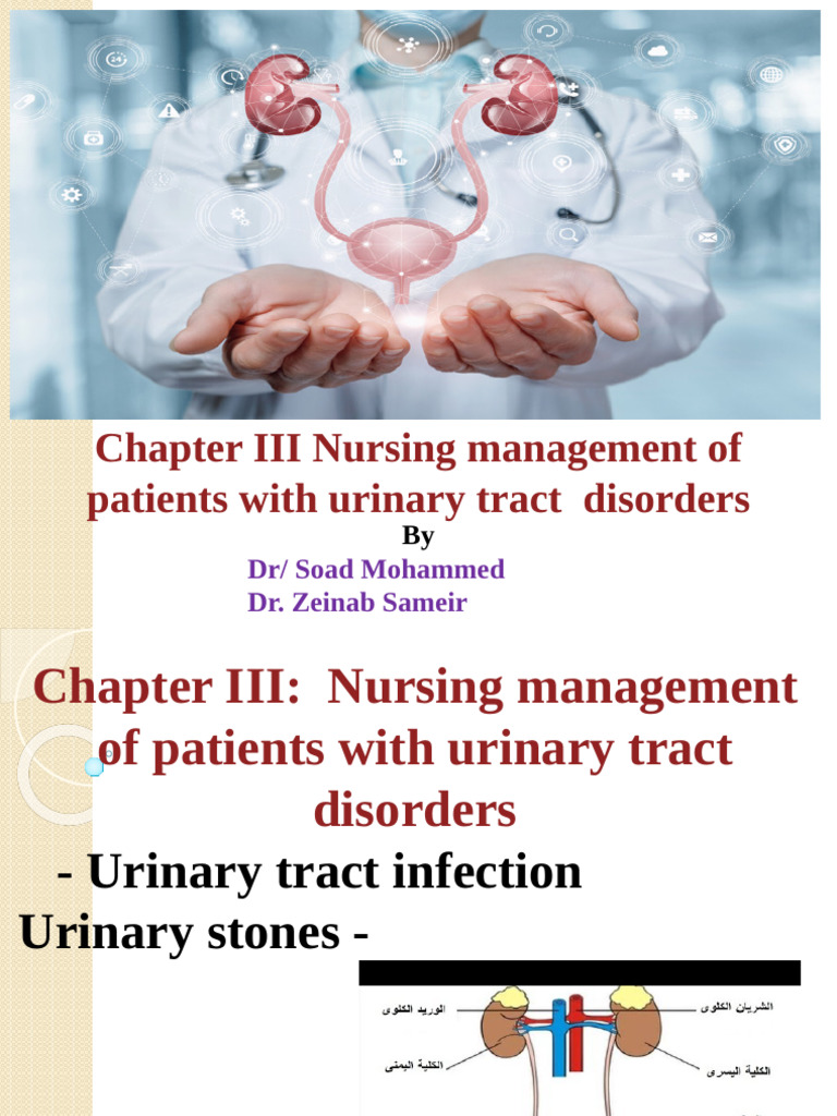 Urinary Tract Disorders (4)2026 | PDF | Urinary Tract Infection | Kidney