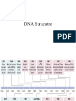 DNA Structure