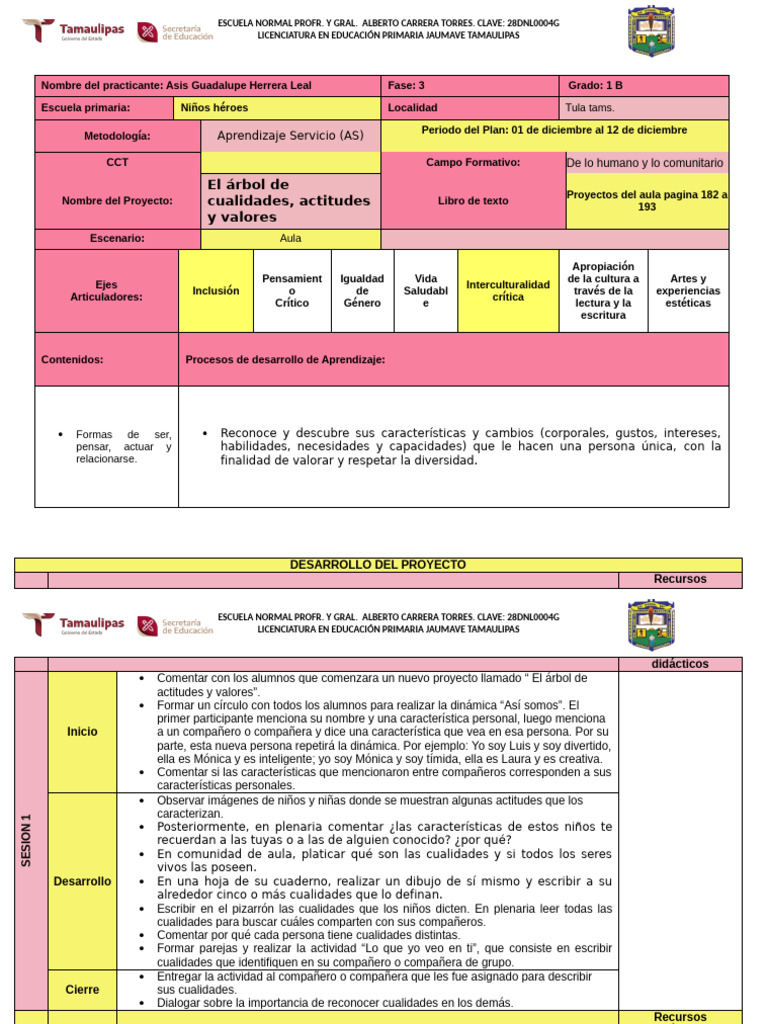 Formato de Planeacion (Nuevo) | PDF | Educación primaria | Dibujo