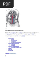 Download Tekanan Darah Tinggi Dan Penyakit Ginjal by Rizky Adam SN102641162 doc pdf