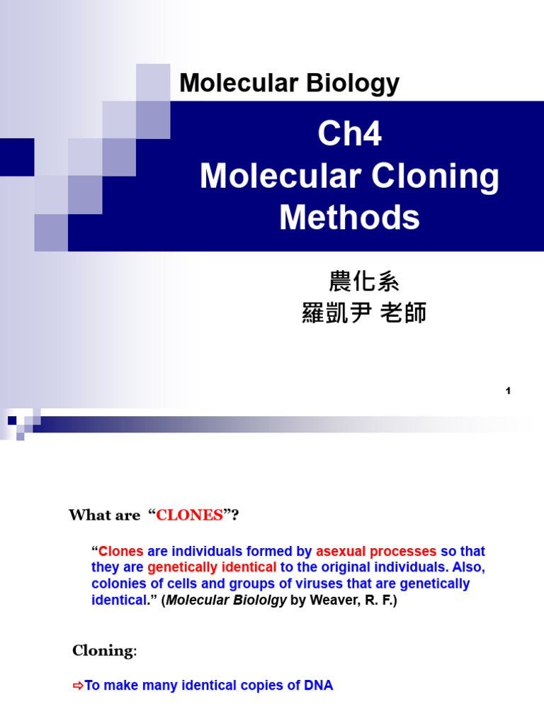 Ch4 2024 | PDF