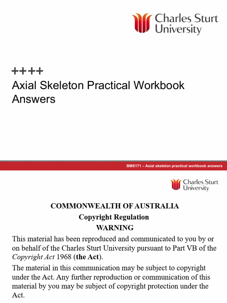 Axial Skeleton Workbook Answers | PDF | Skull | Musculoskeletal System