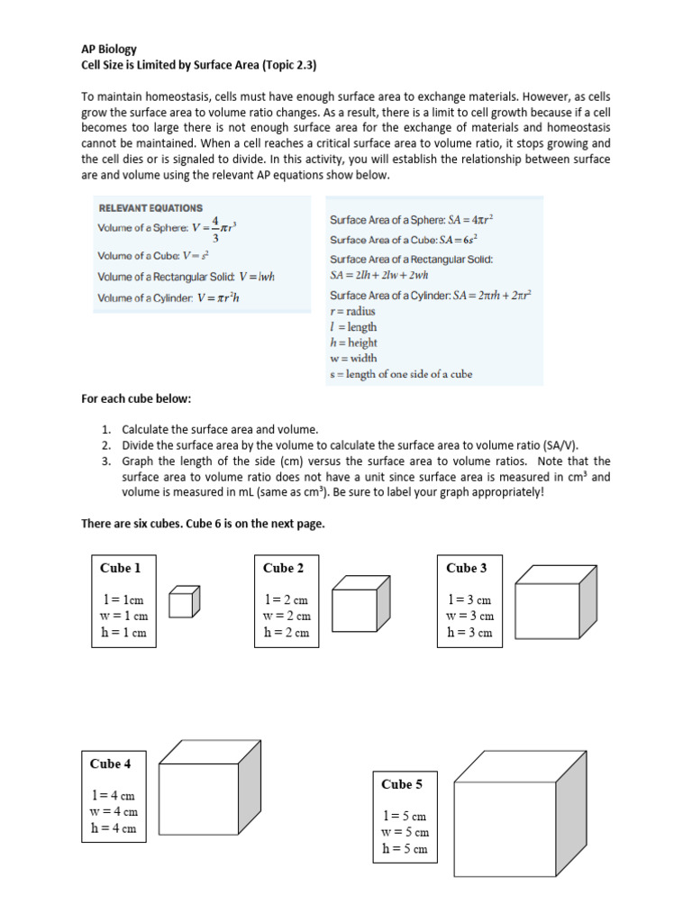 Surface Area To Volume Ratio Worksheet 2019 | PDF | Volume | Surface Area