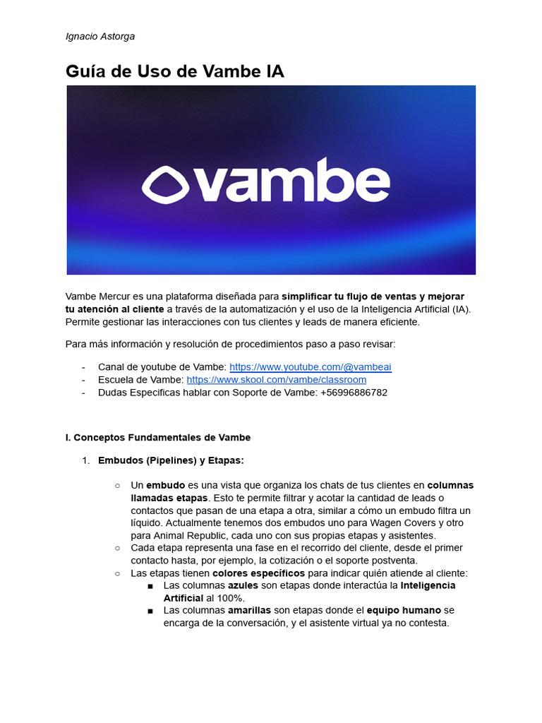 Manual Vambe | PDF | Inteligencia artificial | Inteligencia (IA) y ...
