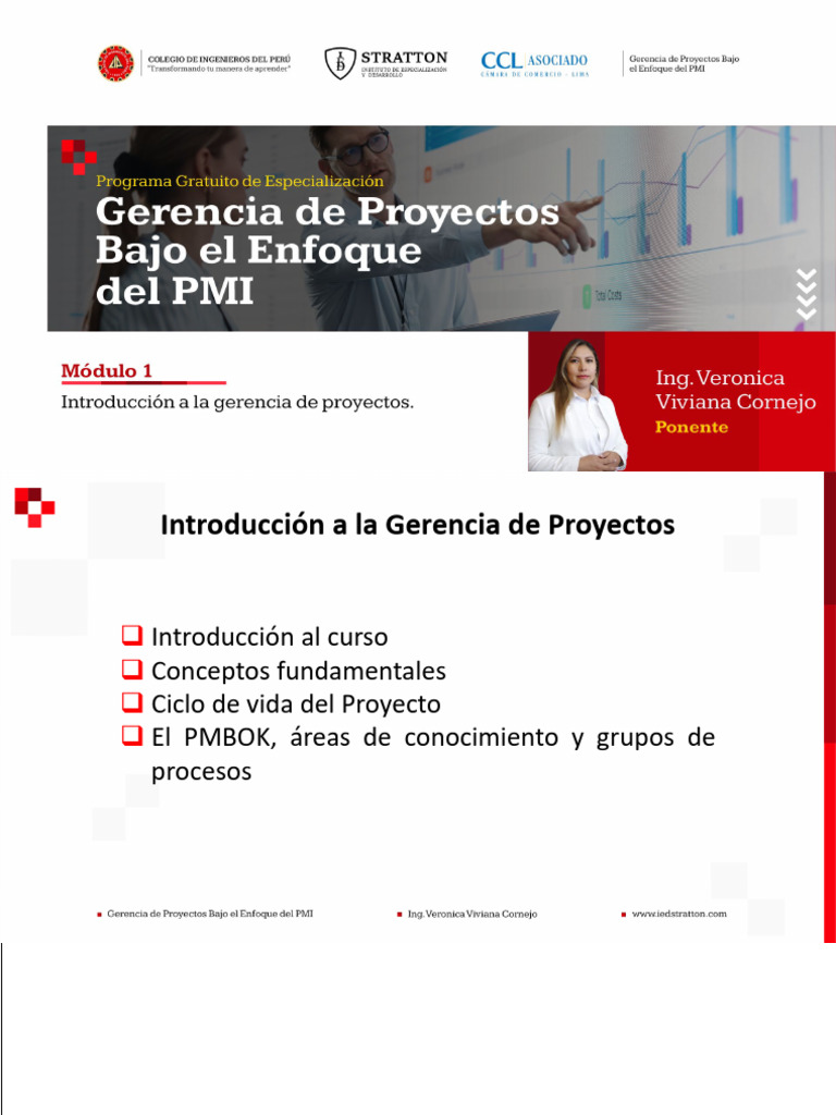 MÓDULO 01 - Gerencia de Proyectos bajo el enfoque del PMI | PDF