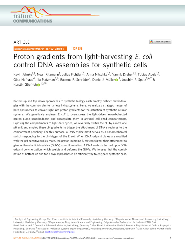 Proton Gradients From Light-harvesting E. Coli Control DNA Assemblies ...