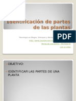 Partes de La Planta (1)