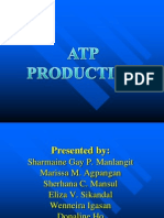 Atp Production