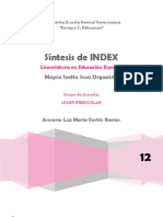 Síntesis del Index para la inclusión