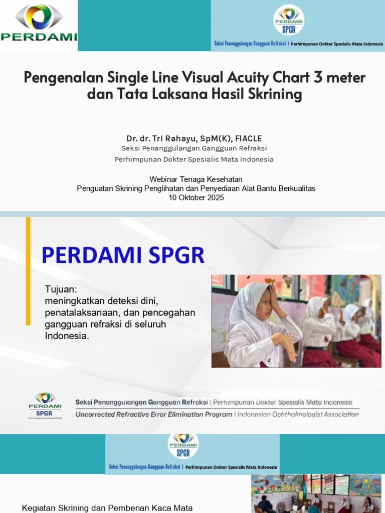 Mata Visual Chart 3 Meter | PDF
