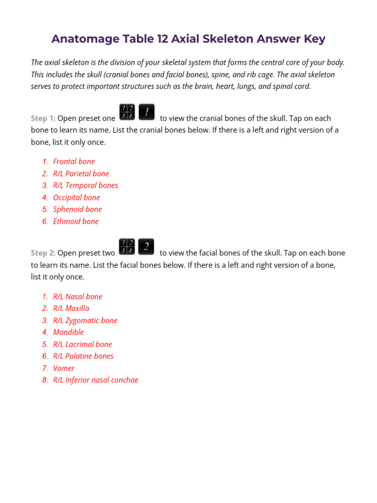 Table 12 - Axial Skeleton Answer Key | PDF | Skull | Vertebra