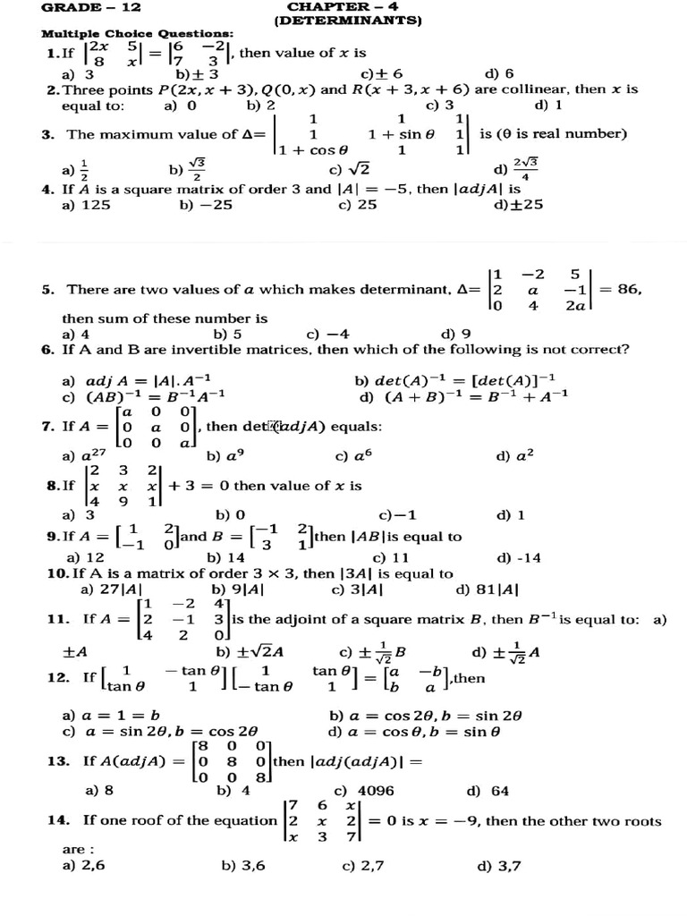 ws 4 | PDF | Matrix (Mathematics) | Determinant