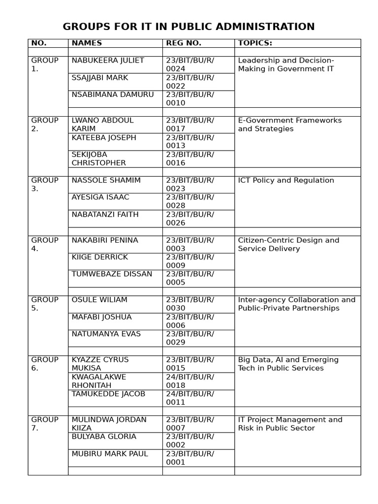 Groups for It in Public Administration (1) | PDF
