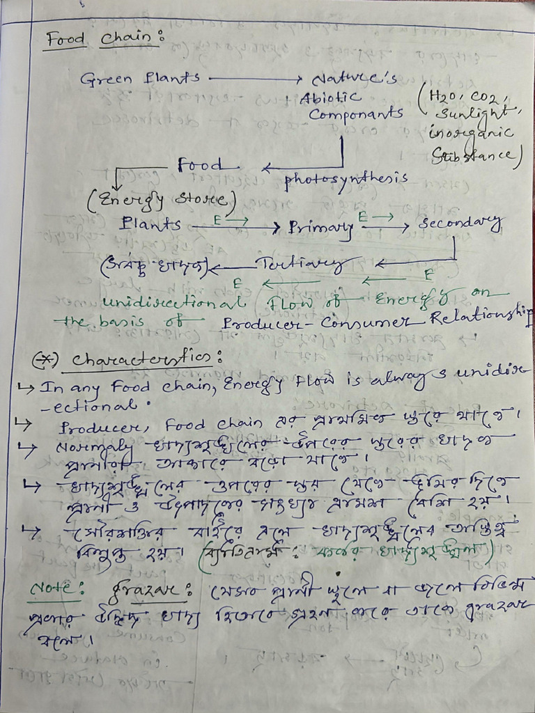 Evs Handwritten Notes | PDF