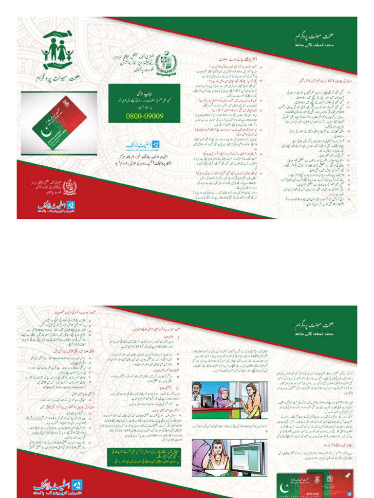 Urdu | PDF