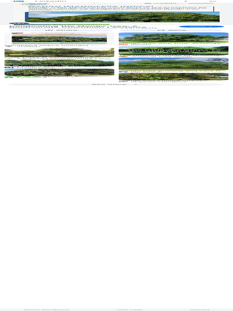 Screenshot 2025-11-19 at 6.04.09 PM | PDF | Trees | Mango